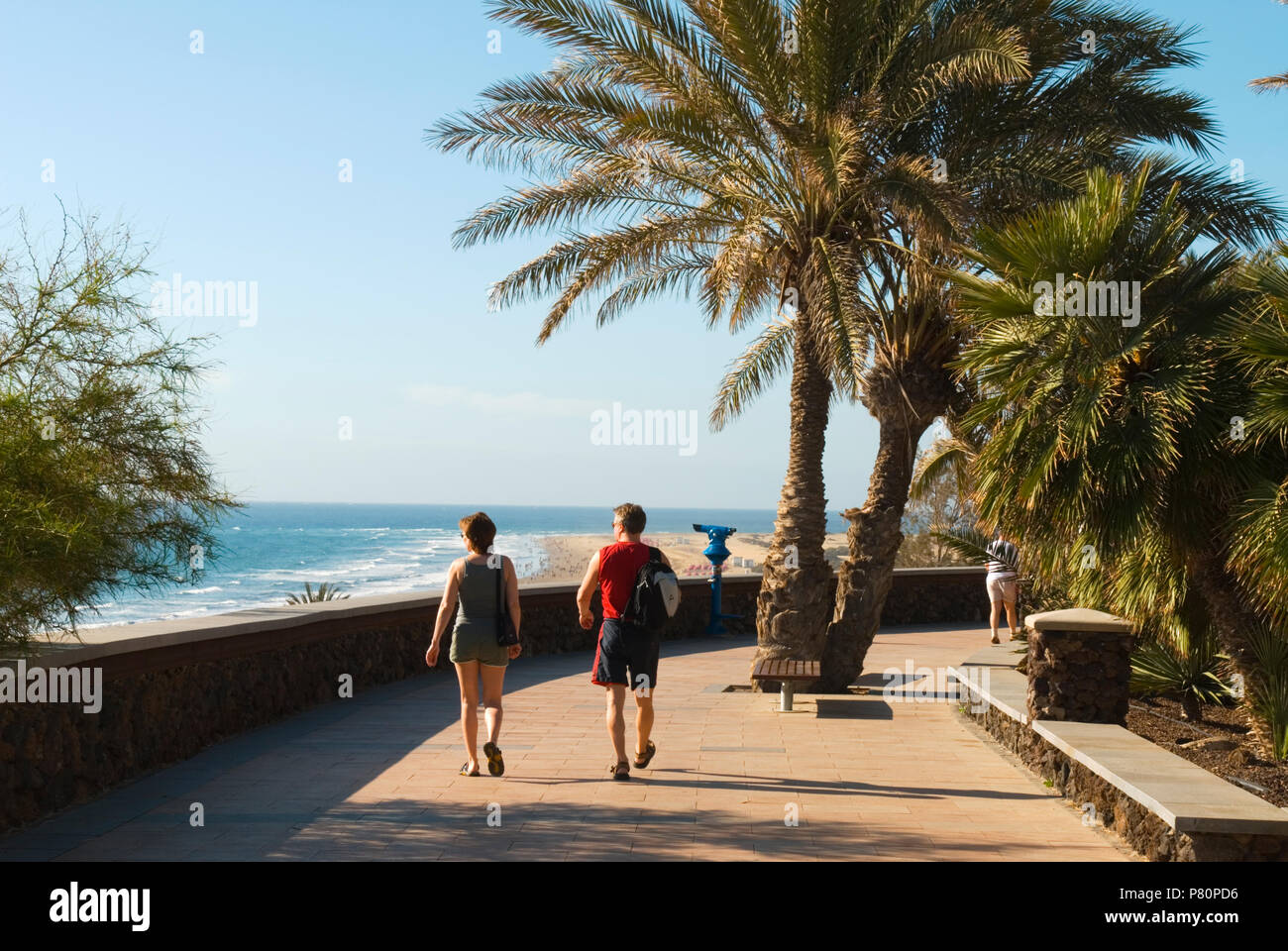 Vista lungo viale costeggiato da palme al di sopra di Playa del Ingles a Maspalomas Foto Stock