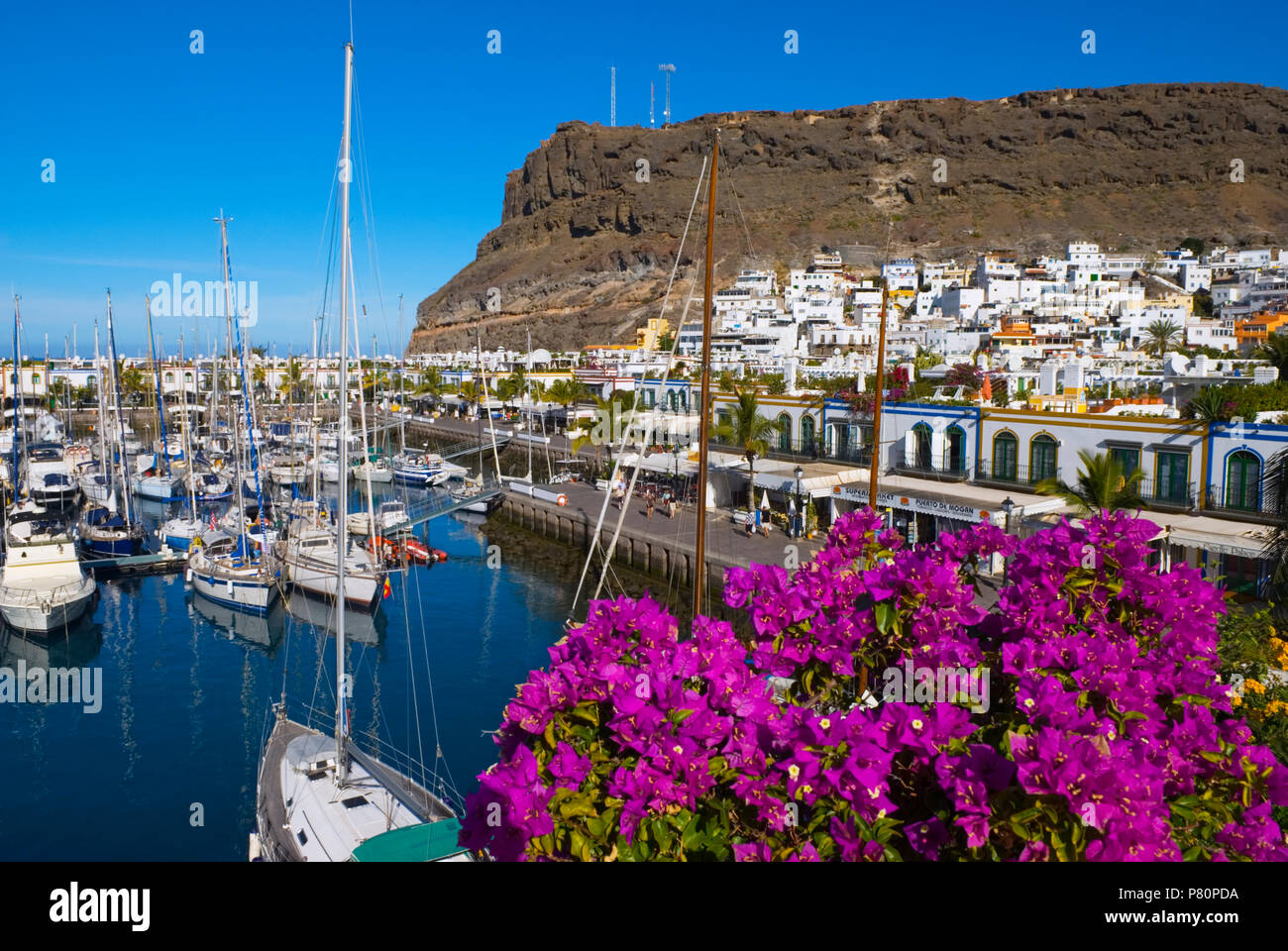 Vista su bouganville e marina di Puerto de Mogan sull isola delle Canarie di Gran Canaria Foto Stock