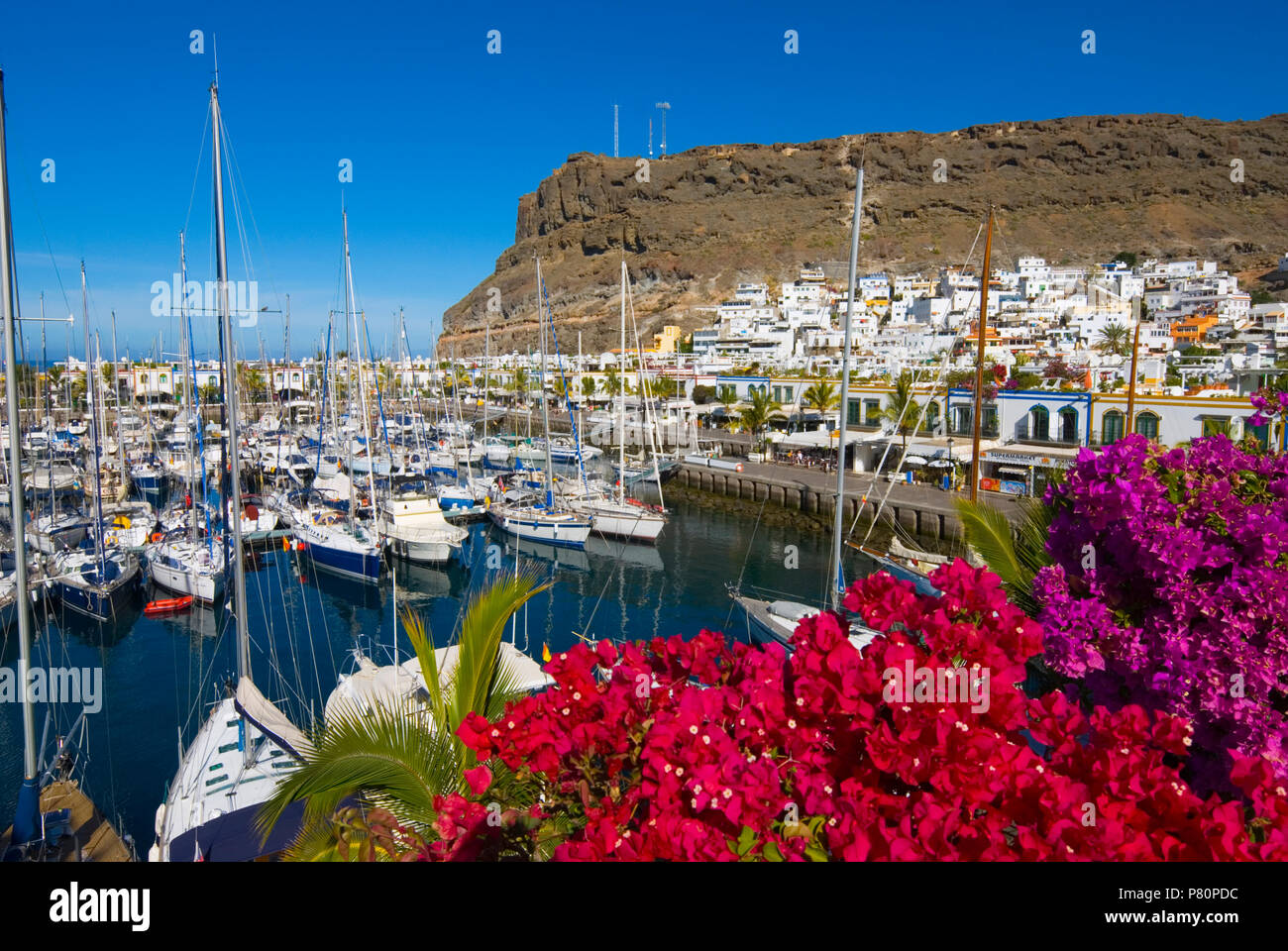 Vista su bouganville e marina di Puerto de Mogan sull isola delle Canarie di Gran Canaria Foto Stock
