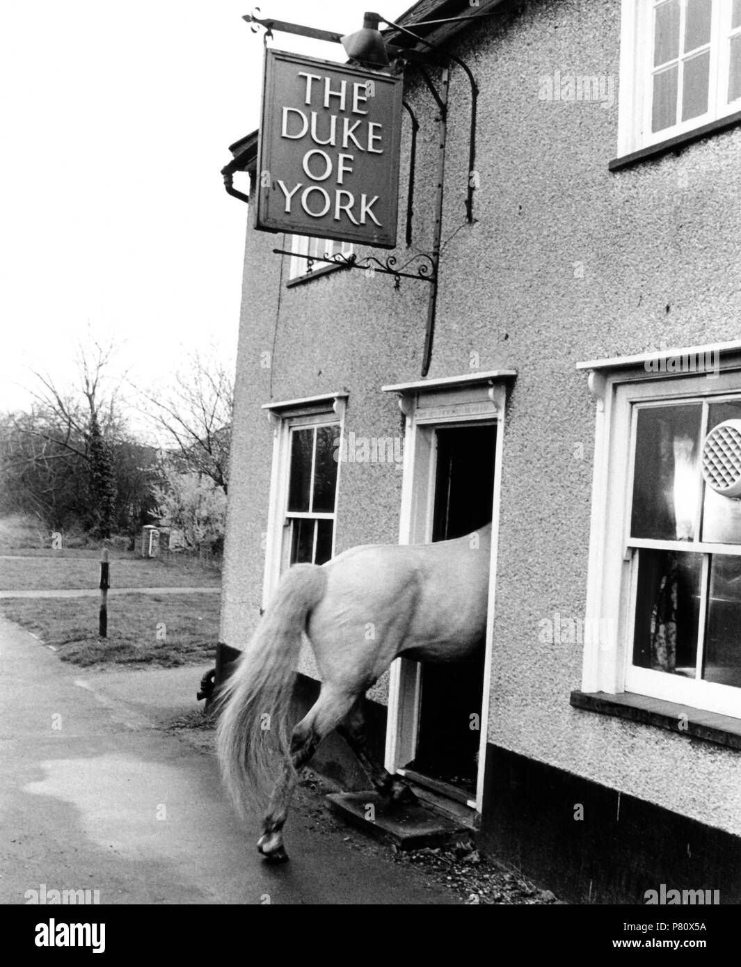 Cavallo va in una casa, in Inghilterra, in Gran Bretagna Foto Stock