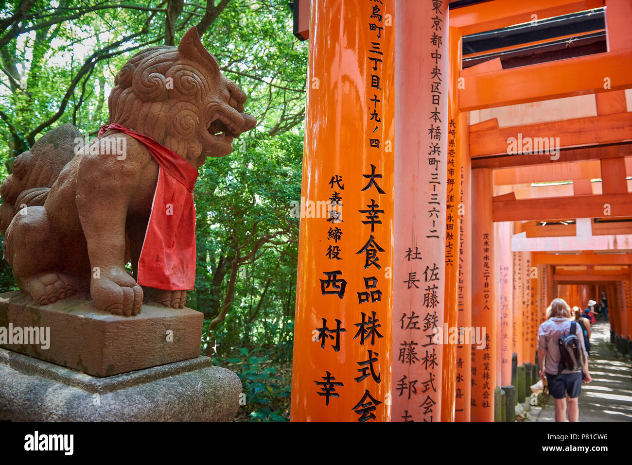 Komainu lion-dog con Senbon Torii Cancelli Rossi in Fushimi Inari Shrine in Kyoto, Giappone. Il personaggio mitologico è creduto per allontanare gli spiriti maligni. Foto Stock