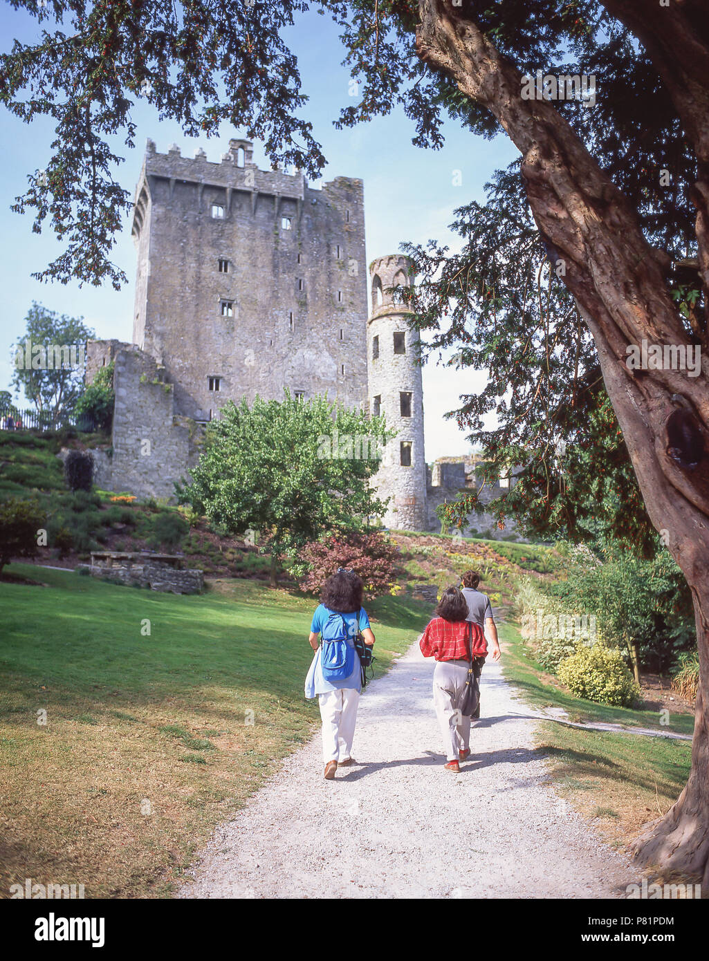 Mantenere il castello e la torre, Blarney Castle, Blarney, County Cork, Repubblica di Irlanda Foto Stock