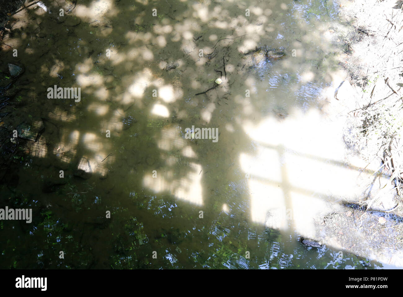 Le ombre di due persone sul ponte in acqua Foto Stock