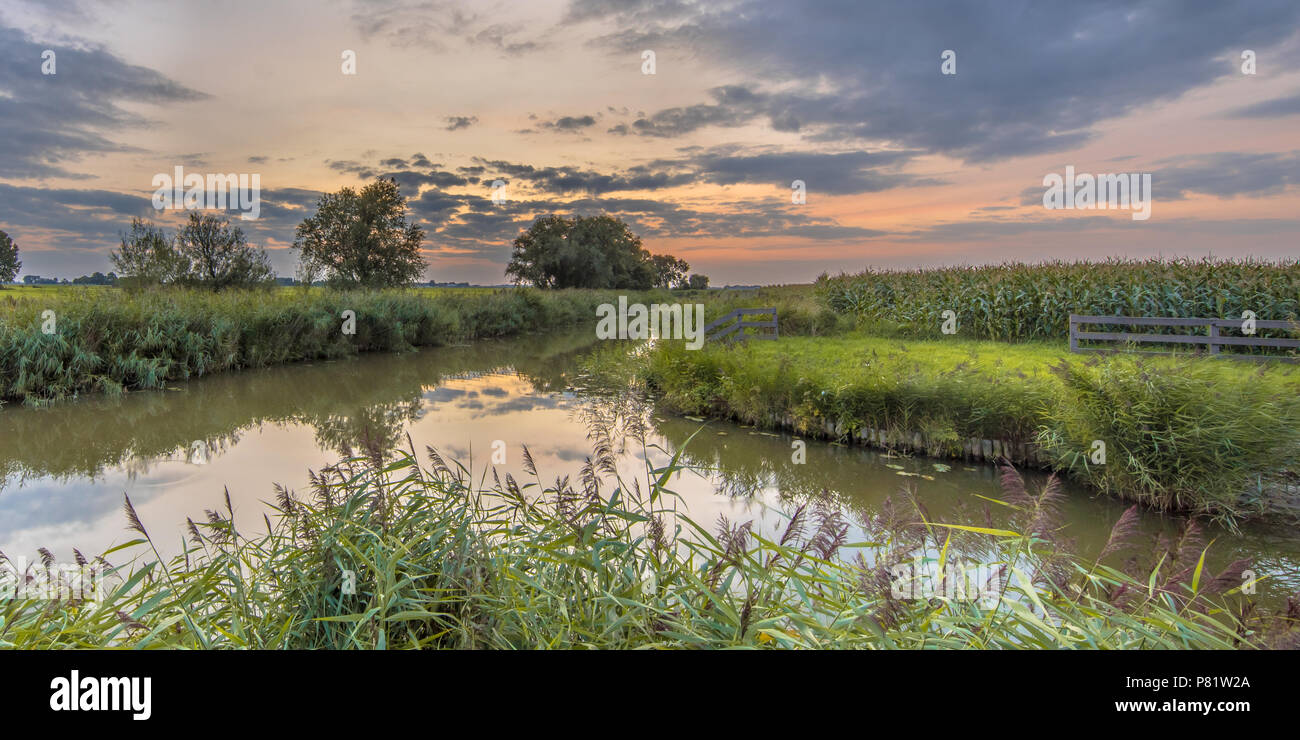 Canali in lingua olandese tipico paesaggio agricolo sotto il colorato tramonto Cielo Foto Stock