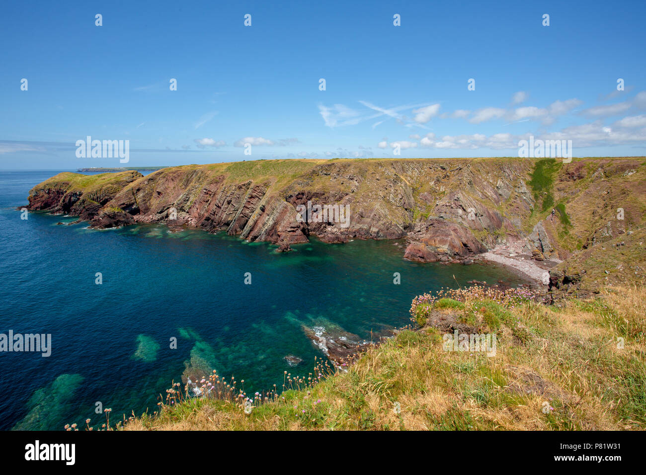 Estate panorami lungo il Pembrokeshire Coast Path nel Galles del Sud, Regno Unito Foto Stock