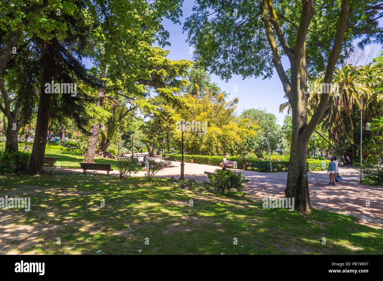 Sentiero ombreggiato attraverso una vegetazione lussureggiante al Jardim da Estrela, Lisbona, Portogallo, in una giornata soleggiata Foto Stock
