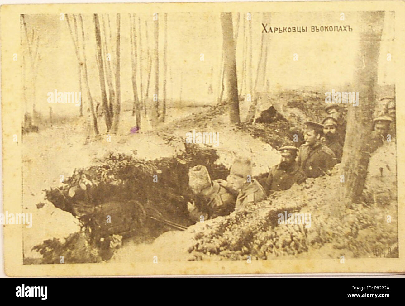 450 Харьковцы в окопах 1914-17 Foto Stock