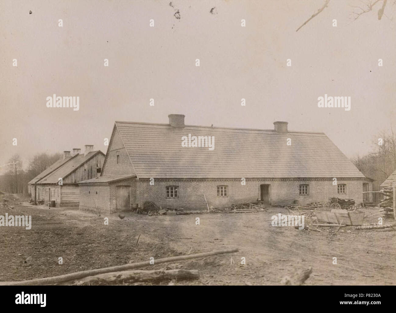 44 Bierastavica Vialikaja, Kasakoŭski. Бераставіца Вялікая, Касакоўскі (S. Kasakoŭski, 7.05.1900) (3) Foto Stock