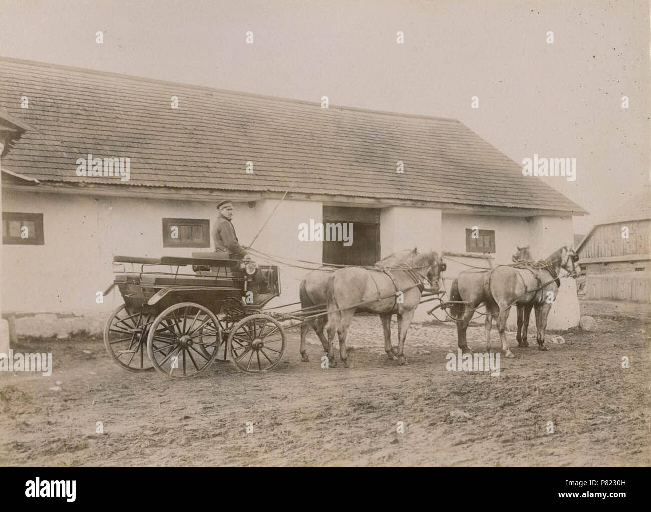 44 Bierastavica Vialikaja, Kasakoŭski. Бераставіца Вялікая, Касакоўскі (S. Kasakoŭski, 7.05.1900) (4) Foto Stock