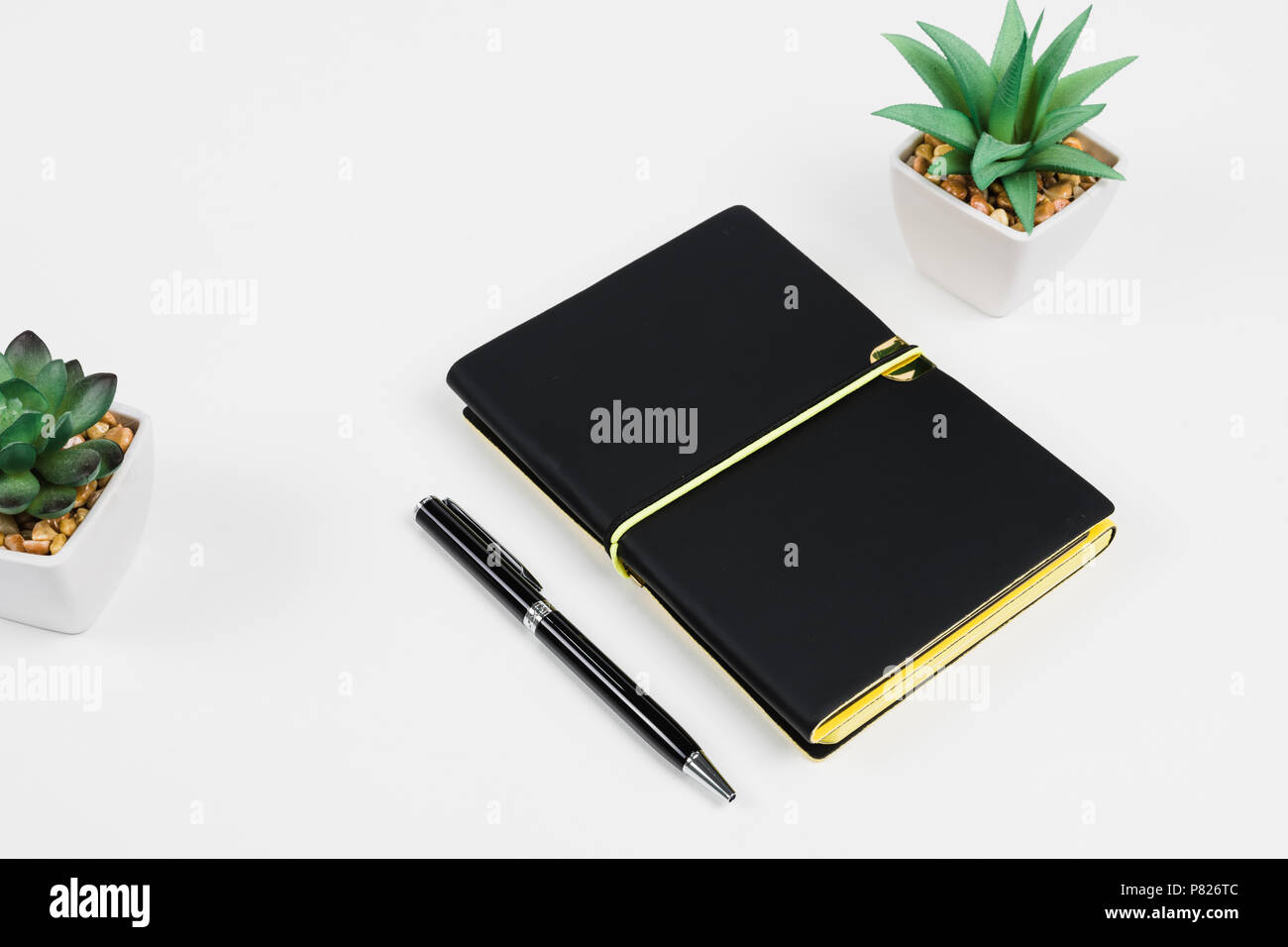 Notebook su scrivania con piante succulente Foto Stock