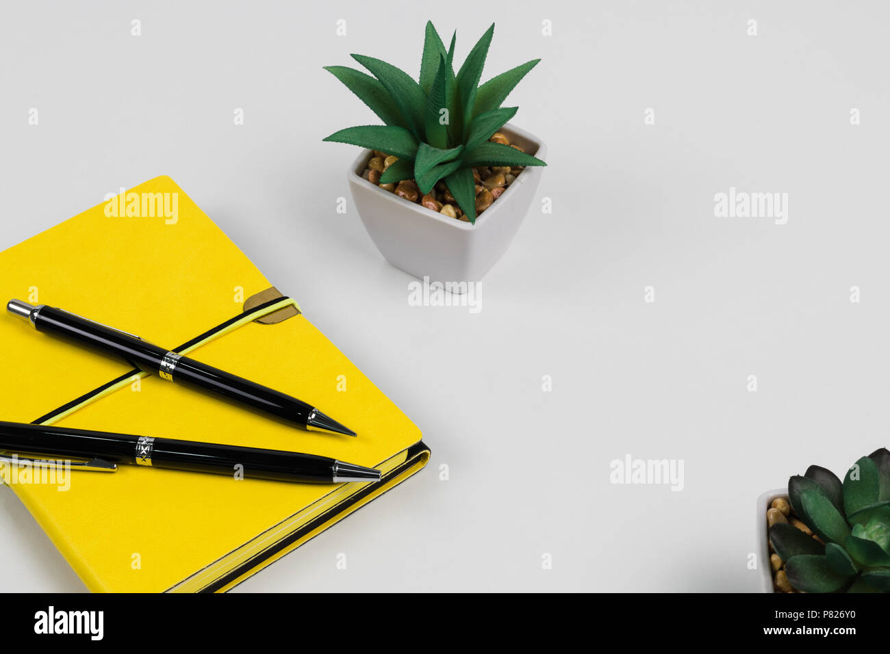 Notebook su scrivania con piante succulente Foto Stock