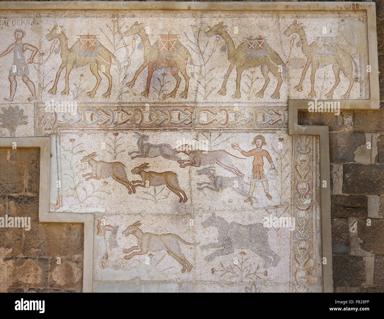 La Siria. Bosra (Busra al-Sham). Daraa distretto. Mosaico romano, VI secolo, scoperto nel teatro. Scena di camel caravan e caccia (cani a caccia di lepre). Foto Stock