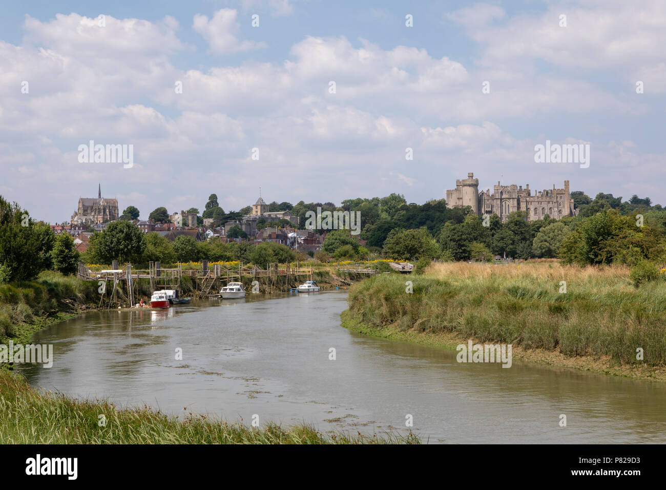Vedute lungo il fiume Arun verso la città mercato di Arundel. Il castello e la cattedrale, all'orizzonte. Foto Stock