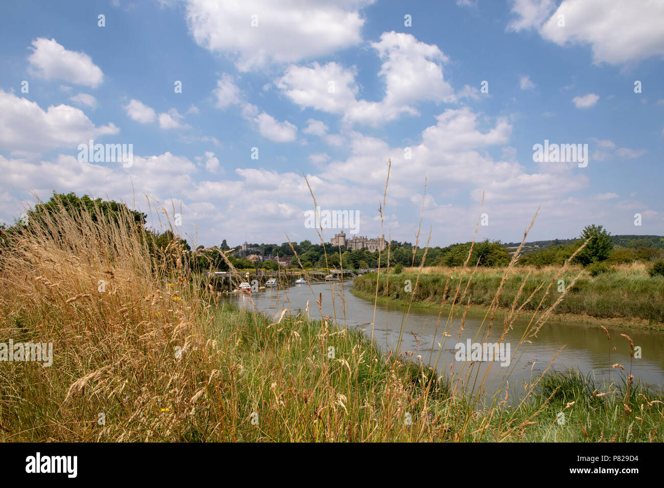 Vedute lungo il fiume Arun verso la città mercato di Arundel. Il castello e la cattedrale, all'orizzonte. Foto Stock