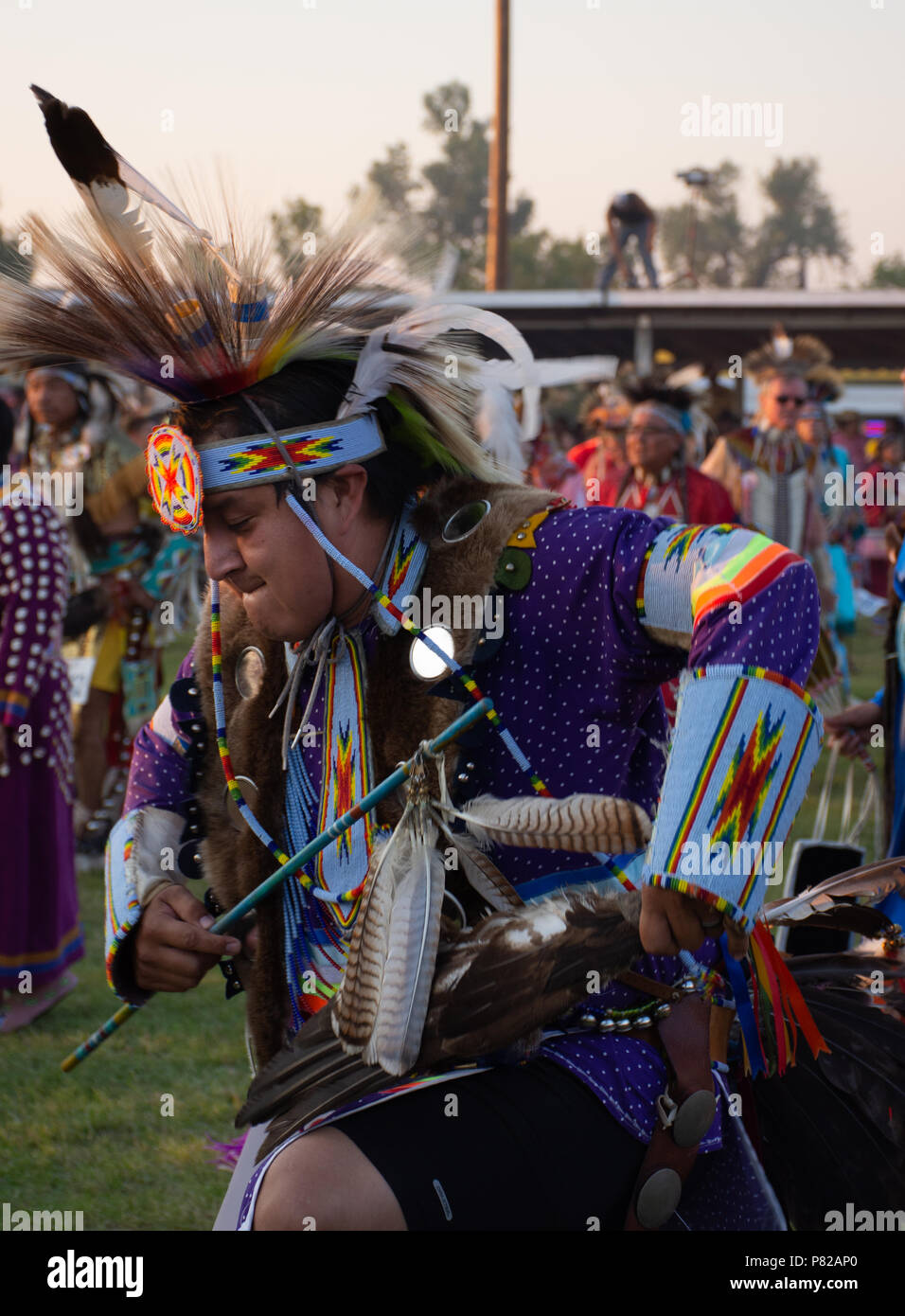 Un nativo americano danza maschile a Pow Wow con un bordato e archetto sfumato indossando una maglietta viola e con un bastone con piume. Foto Stock Un nativo americano danza maschile a Pow Wow con un bordato e archetto sfumato indossando una maglietta viola e con un bastone con piume. Foto Stock