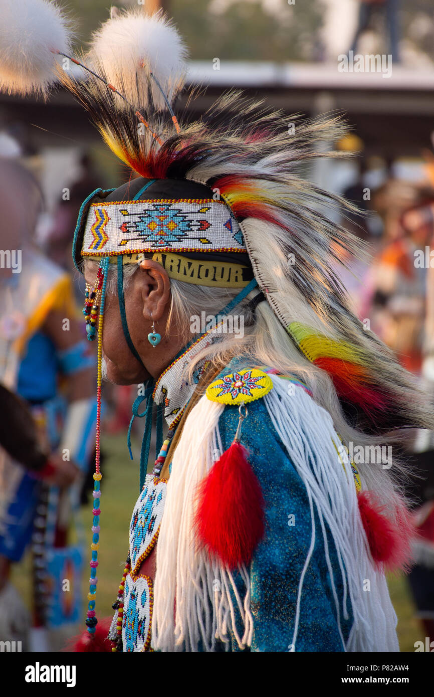 In prossimità di un maschio anziano Native American Pow Wow dancer con una maglietta turchese, bordato con archetto e collana e pelliccia copricapo. Foto Stock In prossimità di un maschio anziano Native American Pow Wow dancer con una maglietta turchese, bordato con archetto e collana e pelliccia copricapo. Foto Stock