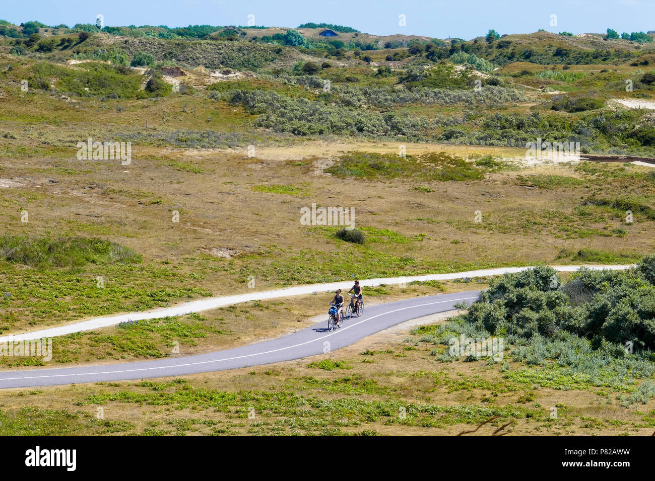 Percorso ciclo attraverso le dune in Meyendel, Olanda Foto Stock