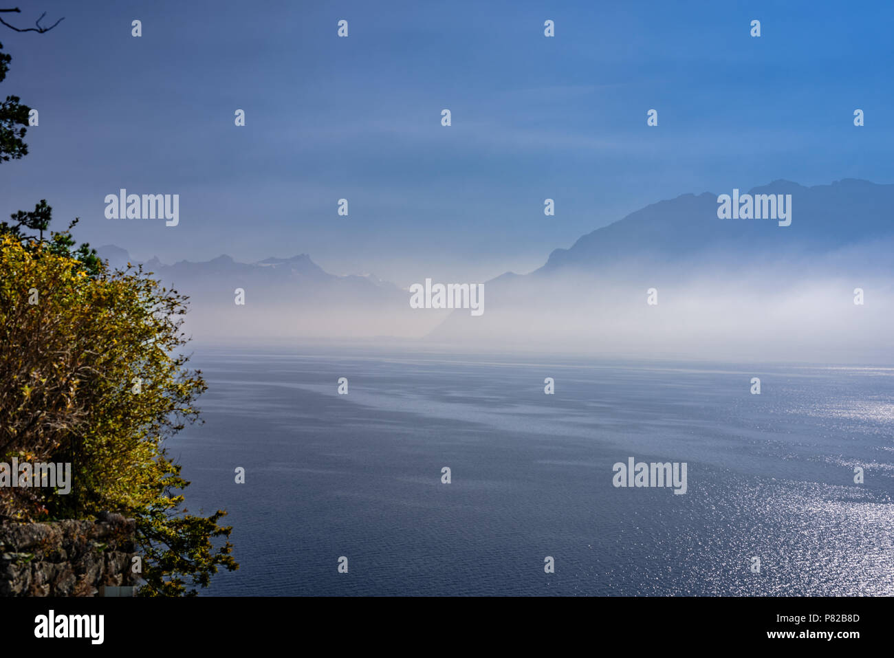 Una nebbia vista sul lago di Ginevra dal Lavaux, Vaud, Svizzera Foto Stock
