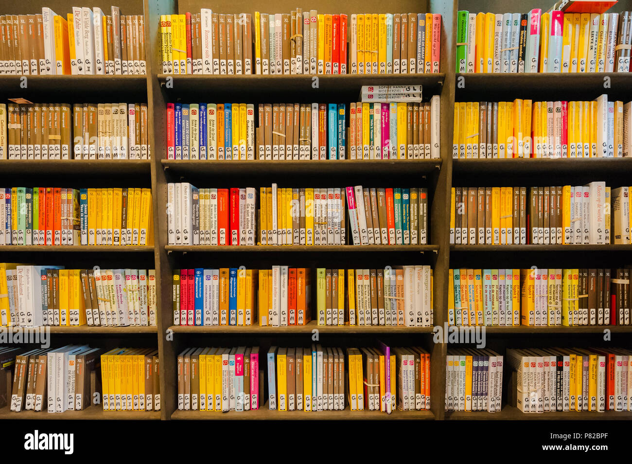 DELFT, Paesi Bassi - 20 AGO 2013: libreria scaffale della libreria comunitaria nella città di Delft Foto Stock