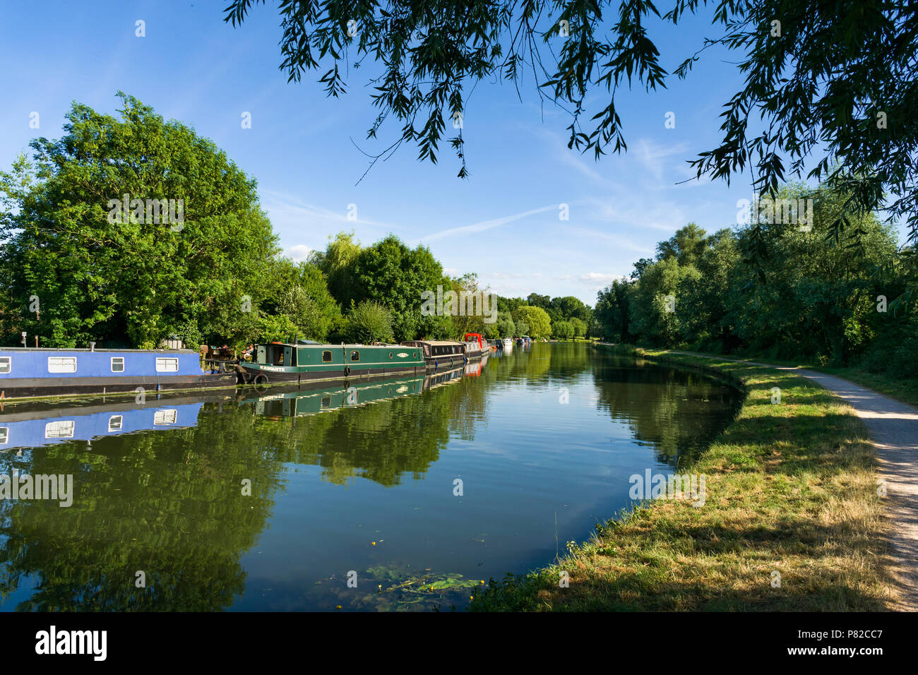 Diverse case narrowboat ormeggiato sul lato del fiume Cam su una soleggiata giornata estiva, Cambridge, Regno Unito Foto Stock