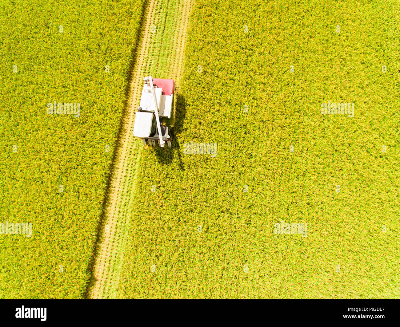 Vista aerea della mietitrebbia semovente Macchina con fattoria di riso Foto Stock
