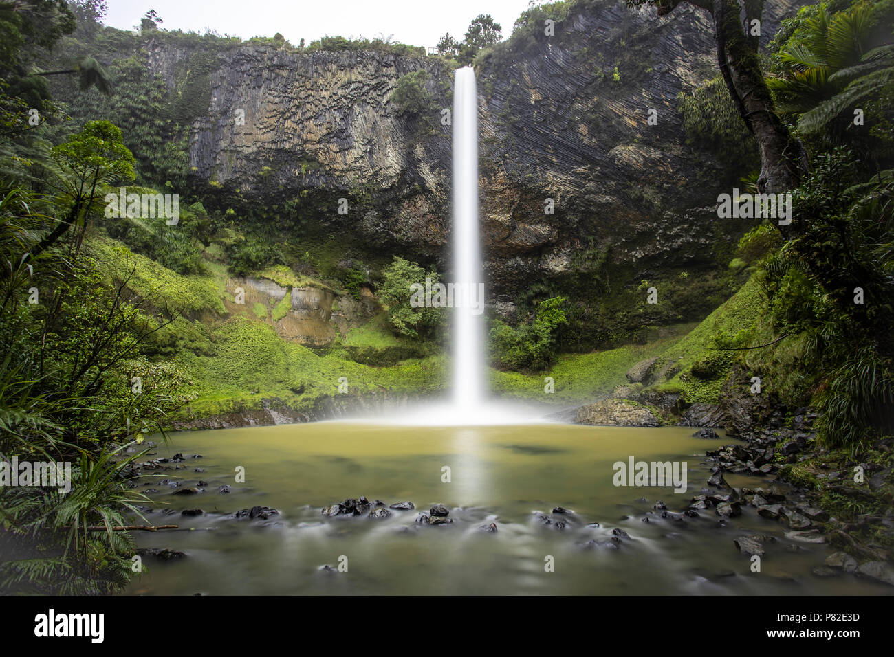 Bridal Veil Falls, Raglan, Nuova Zelanda Foto Stock