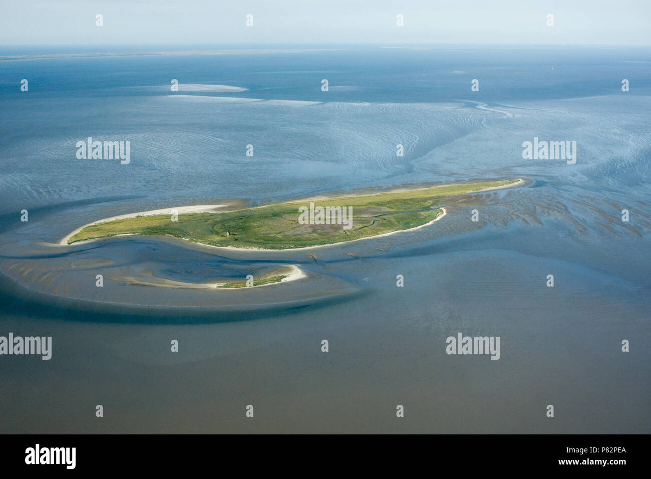 Het eiland Griend in de Waddenzee; l'isola di Griend nel Waddensea Foto Stock