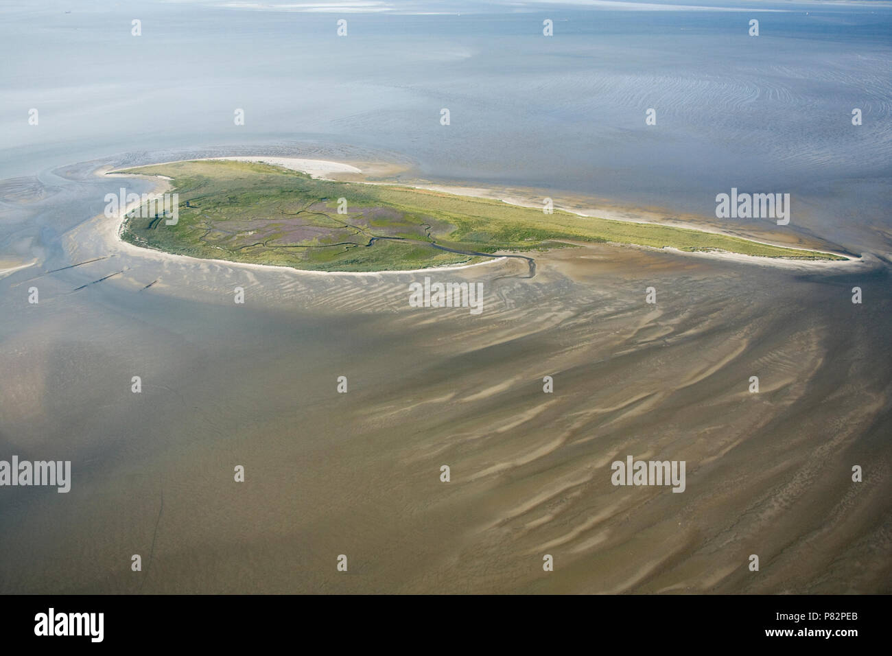 Het eiland Griend in de Waddenzee; l'isola di Griend nel Waddensea Foto Stock
