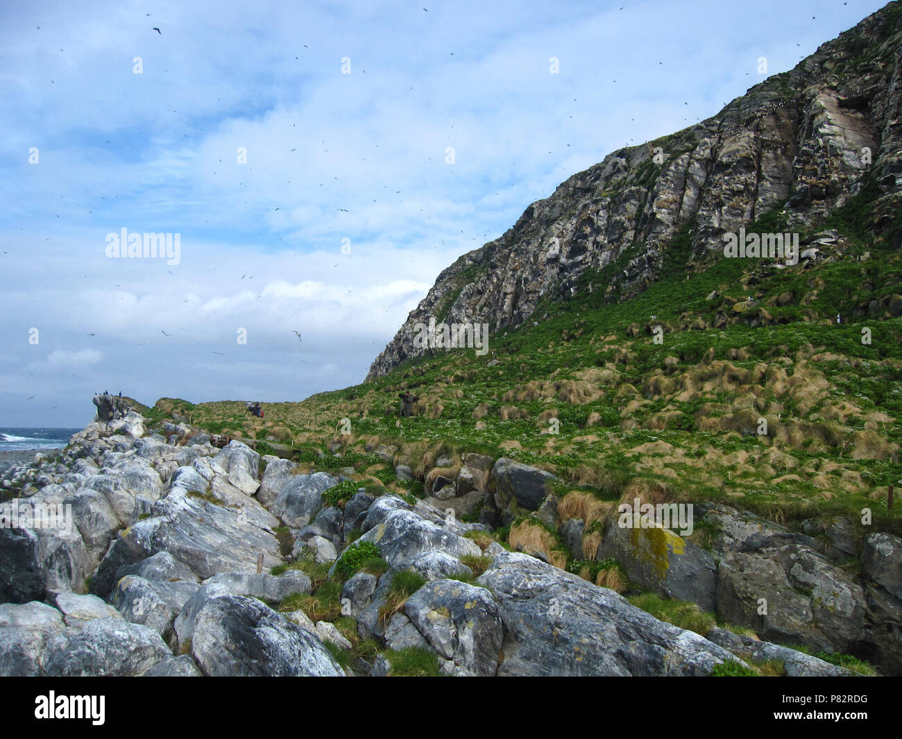 Varangerfjord, Norvegia, Varangerfjord Norwegen Foto Stock