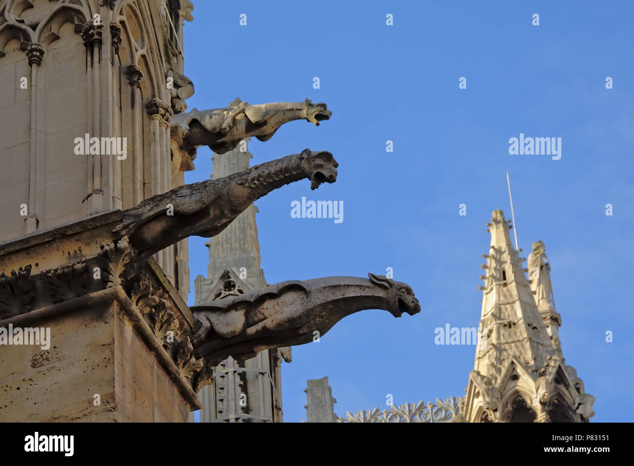 Doccioni, dettaglio della cattedrale di Notre Dame de Paris in una giornata di sole con cielo blu chiaro Foto Stock