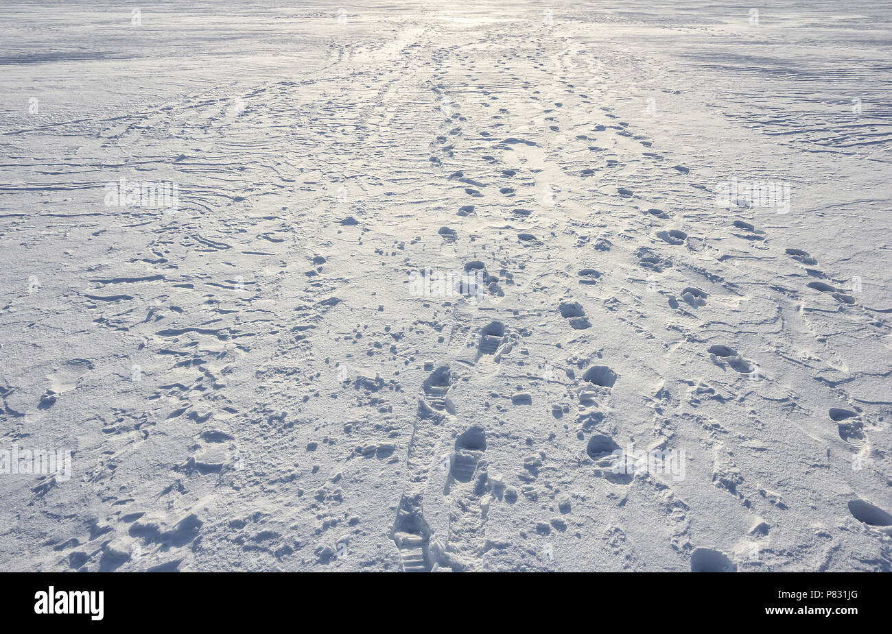 Footprint percorso attraversando un terreno nevoso, tracce sulla neve, sfondo Foto Stock