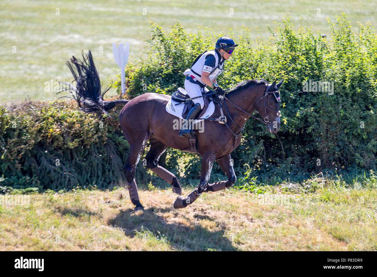 Wiltshire, Regno Unito. 8 Luglio, 2018. 9. posto. Laura raccogliere Dacapo di equitazione. GBR. Il giorno 4. Il CIC***. Caso Rider maestri. Sezione A. Cross Country. Il giorno 4. St James Barbury Horse Trials. Wroughton. Wilstshire. Regno Unito. 08/07/2018. Credito: Sport In immagini/Alamy Live News Foto Stock