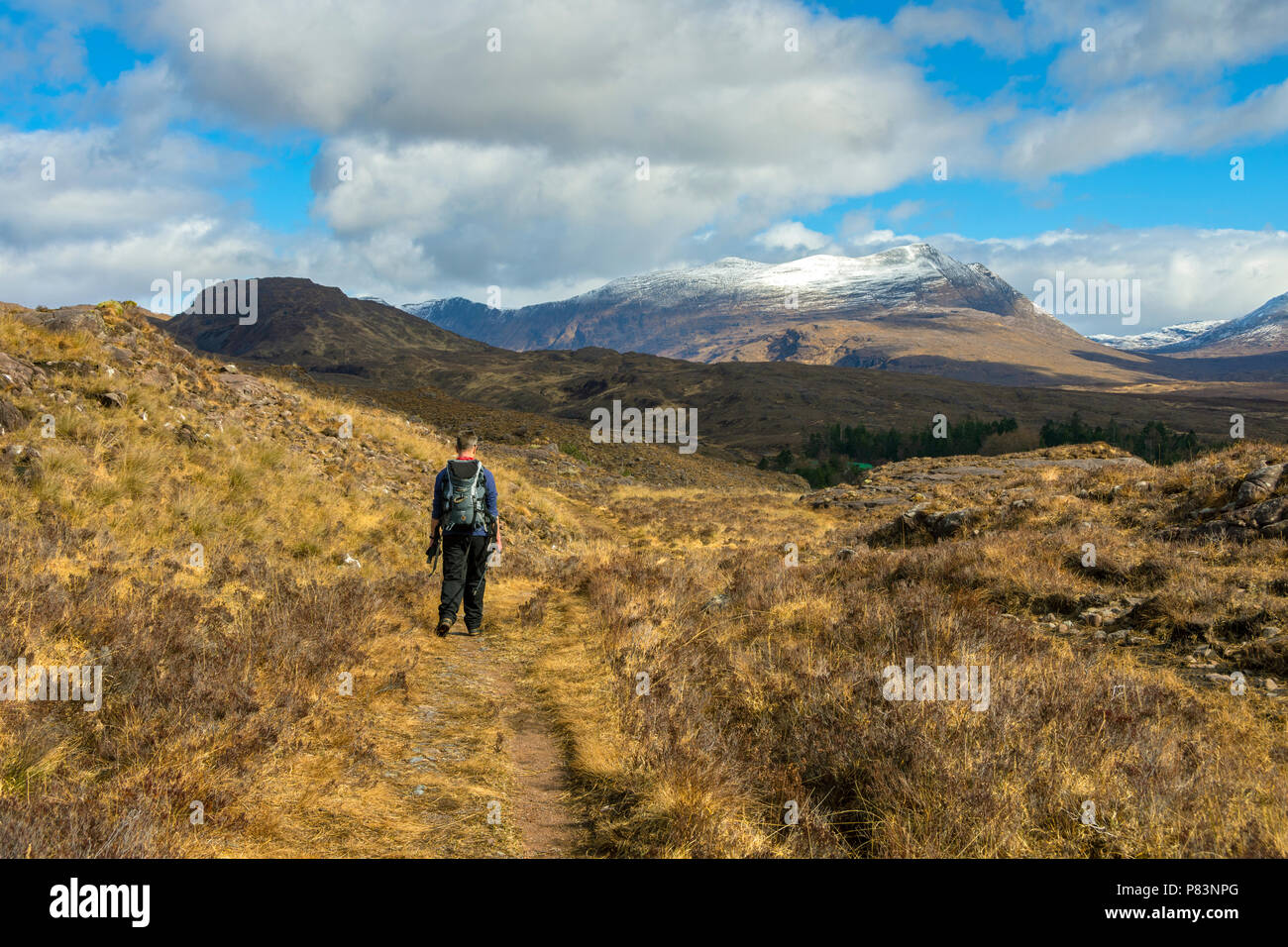 Beinn Damh da Tornapress vicino alla testa di Loch Kishorn, regione delle Highlands, Scotland, Regno Unito Foto Stock