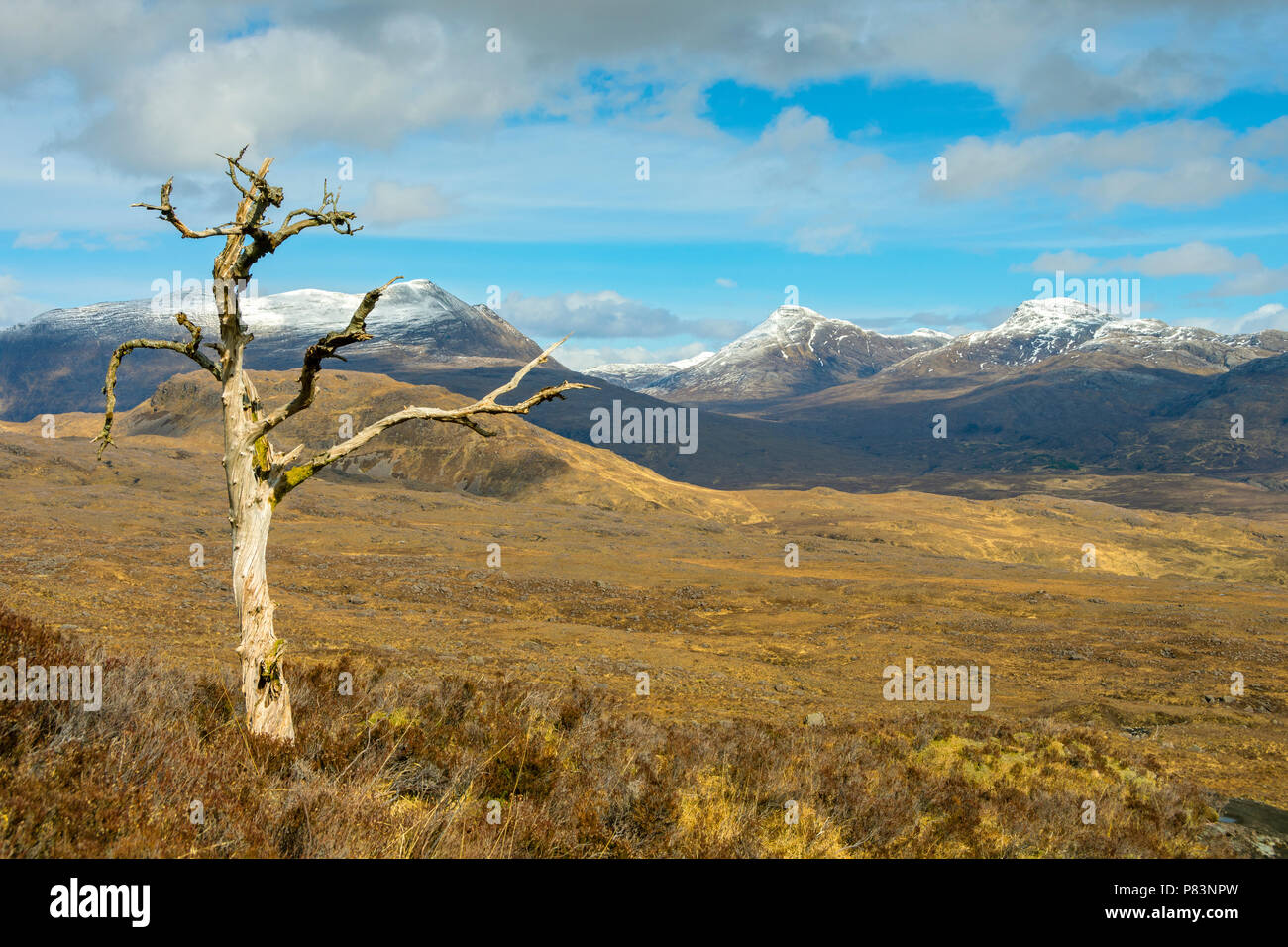 Beinn Damh, Maol Chean-dearg e un Ruadh-Stac oltre Strath un' Bhàthaich, dal di sopra Couldoran, regione delle Highlands, Scotland, Regno Unito Foto Stock