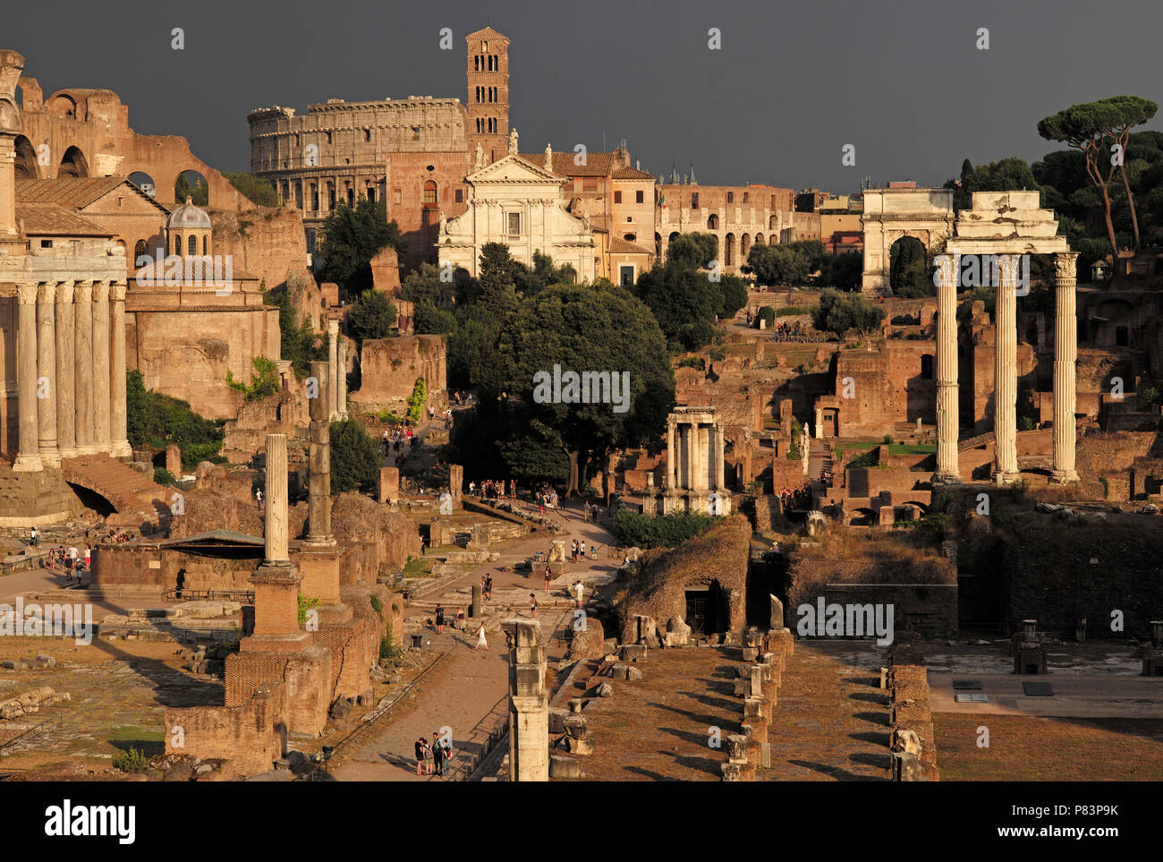Rovine e gli antichi edifici del Foro Romano, Roma, Italia, Europa Foto Stock
