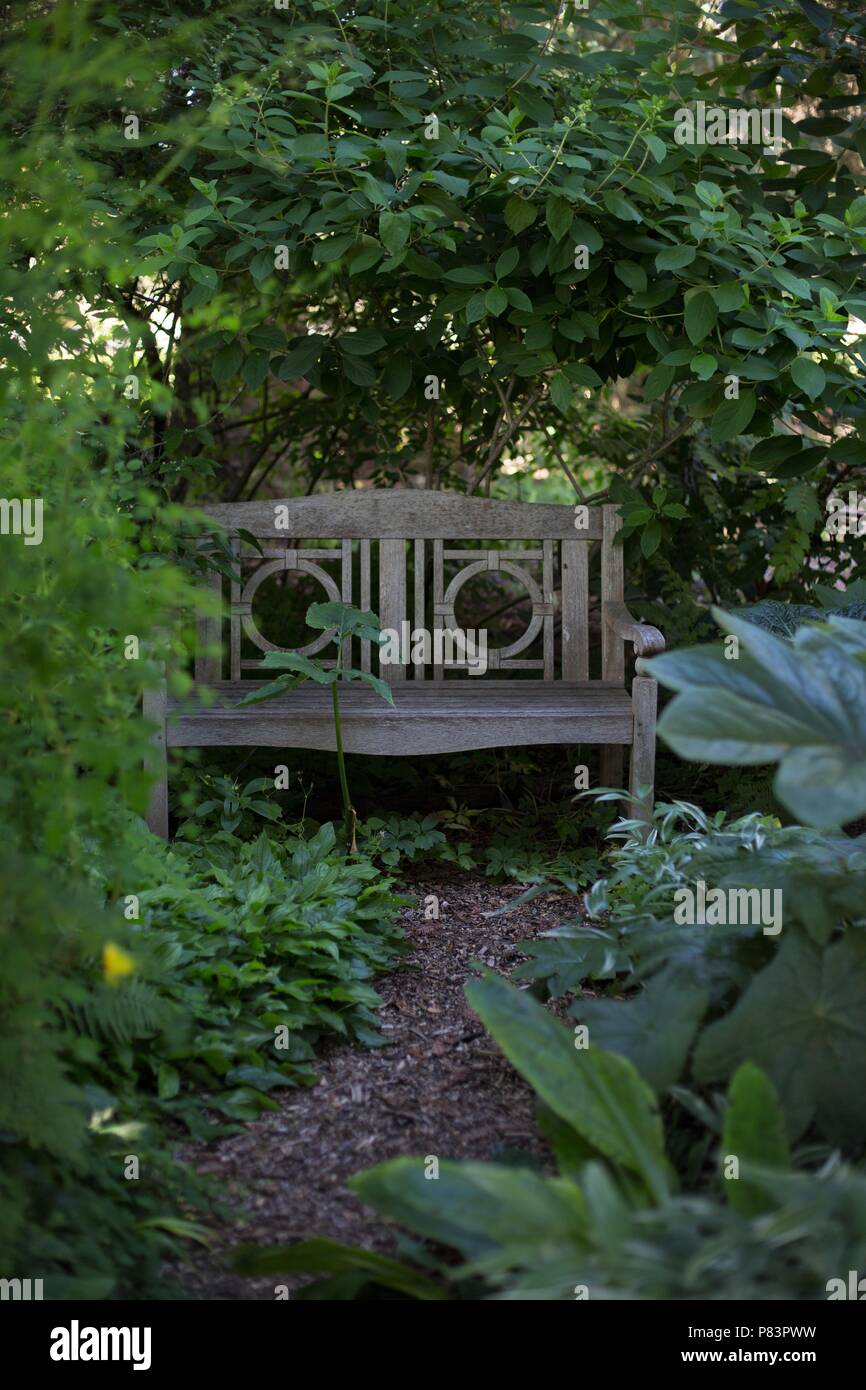 Un banco vuoto in un lussureggiante giardino. Foto Stock