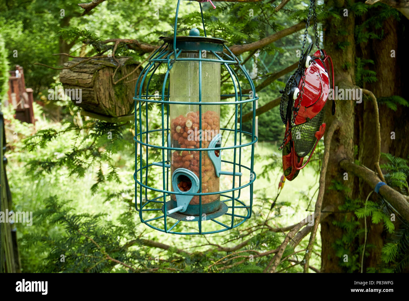 Prova di scoiattolo peanut bird feeder England Regno Unito Foto Stock