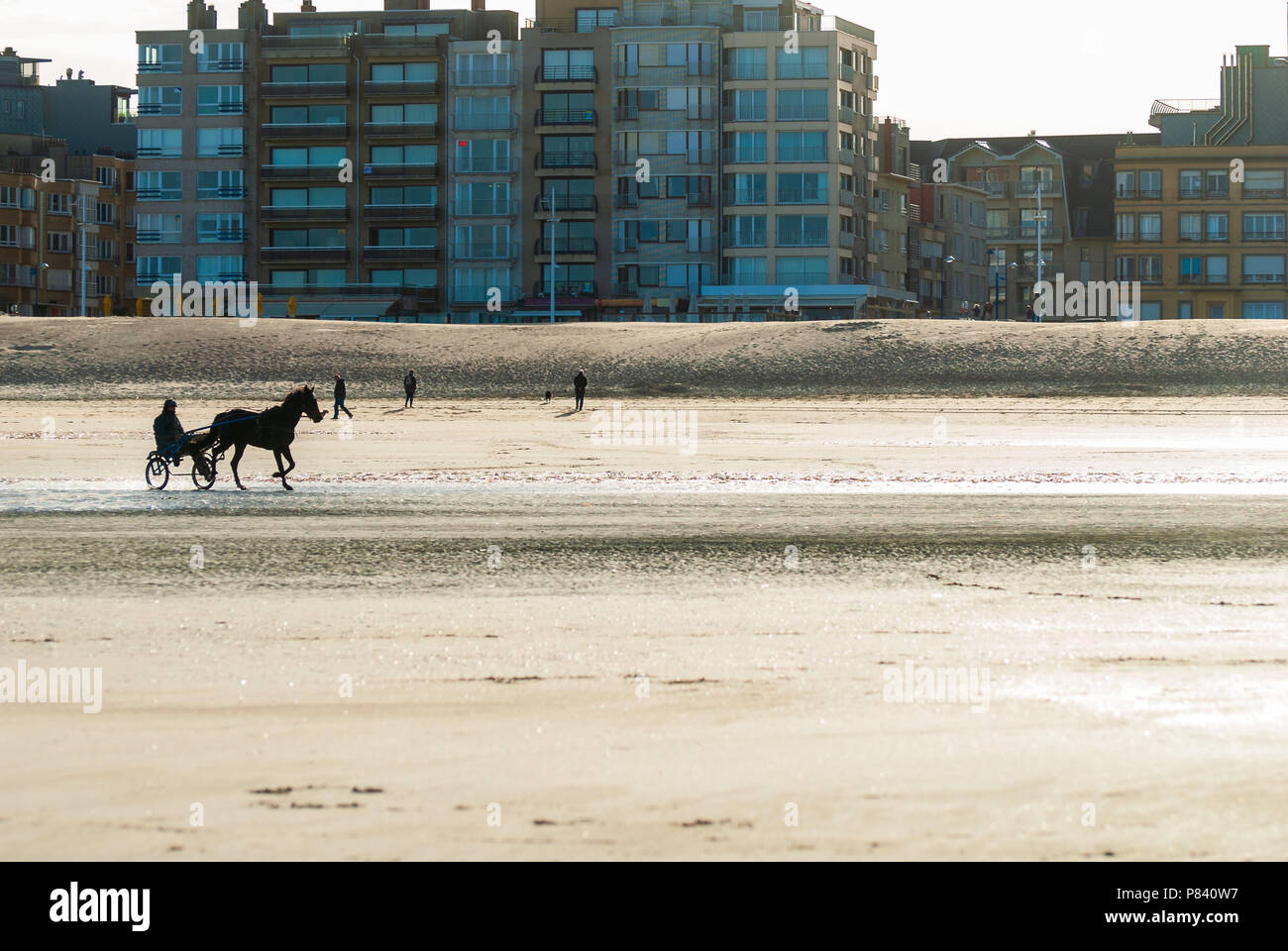 La formazione di un cavallo da corsa sulla spiaggia in autunno con alcuni edifici in background Foto Stock