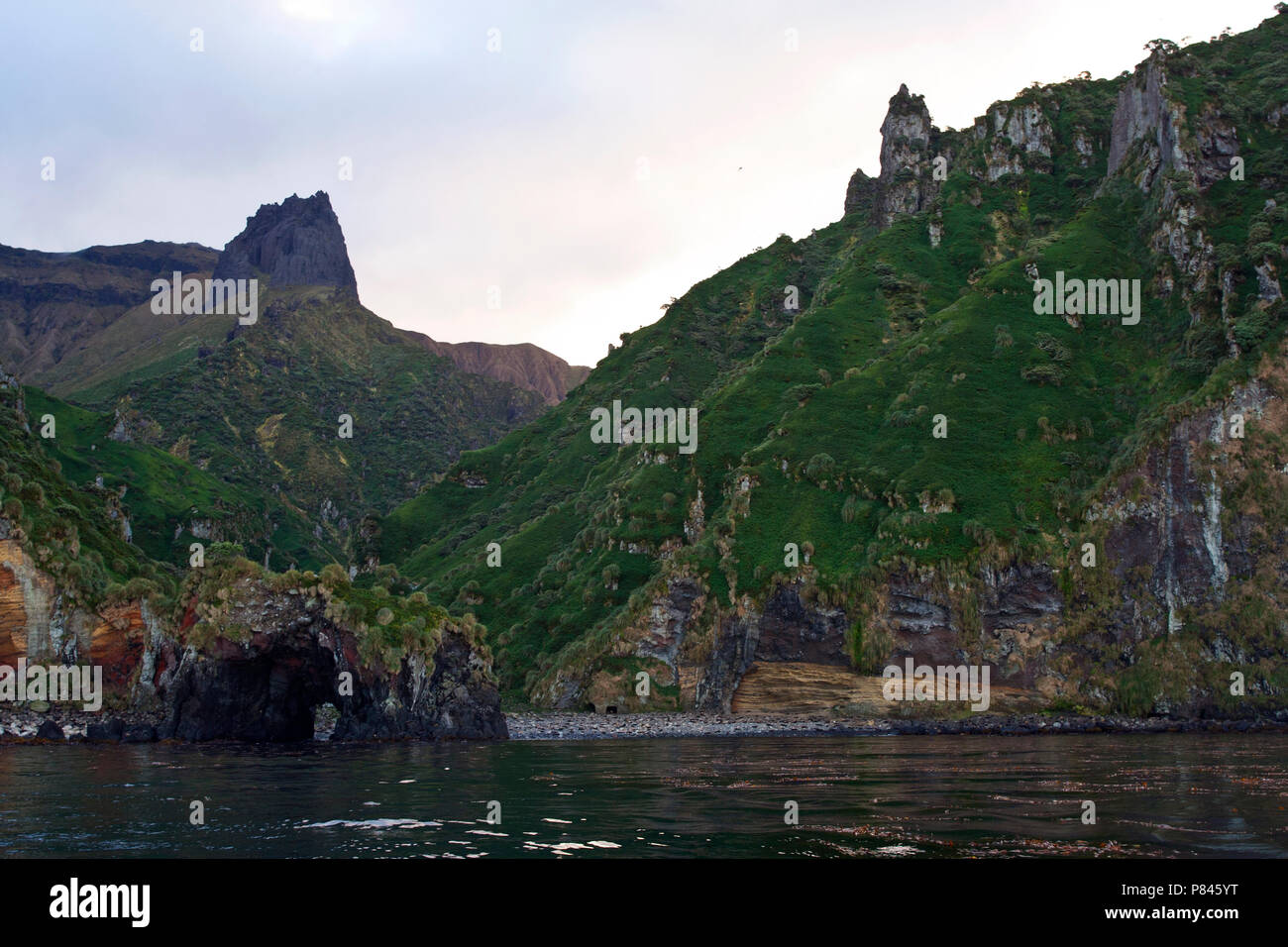 Gough Island, Atlantico meridionale Foto Stock