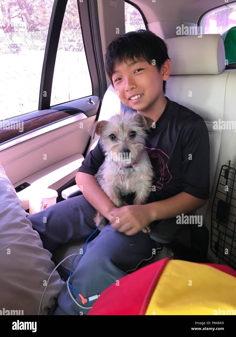 Ragazzo ed il suo cane Foto Stock