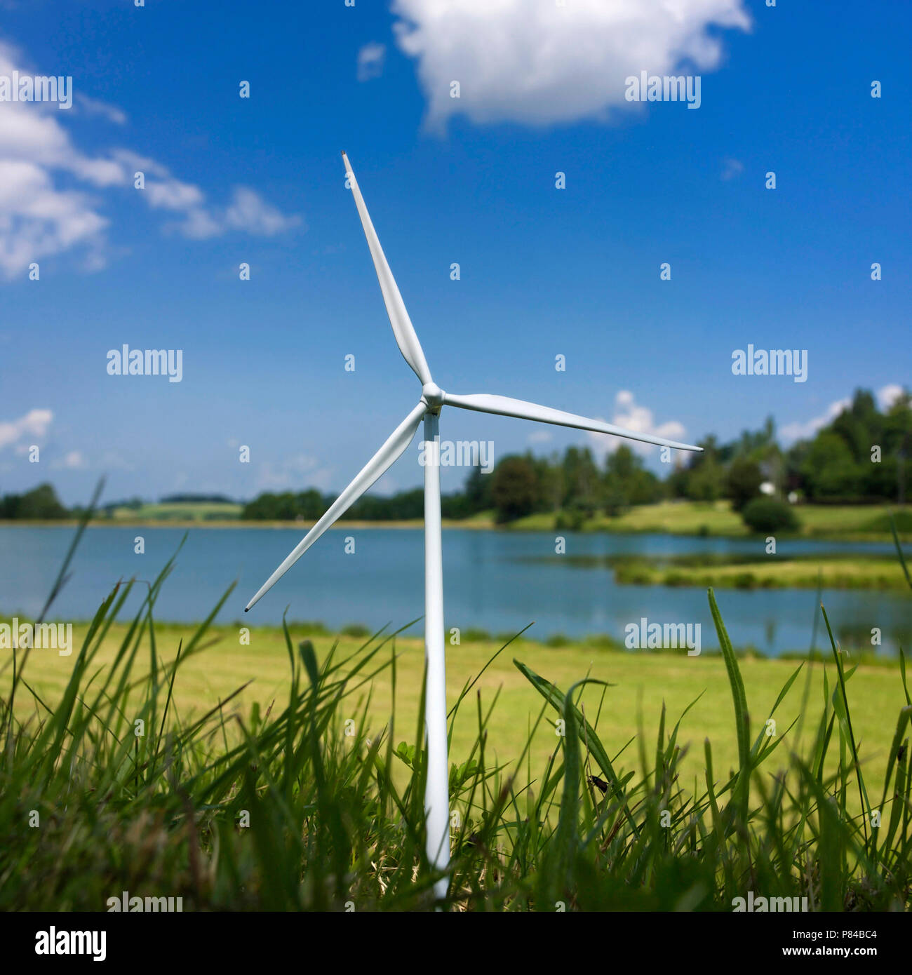 Miniatura turbina eolica in erba Foto Stock