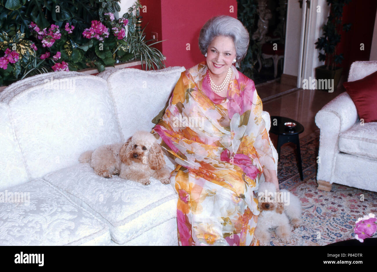 Iniziata Aga Khan mit ihren Pudel in ihrem Haus in Le Cannet, Frankreich 1985. Iniziata Om Habibeh Aga Khan con i suoi gatti a casa sua a Le Cannet, Francia 1985. Foto Stock