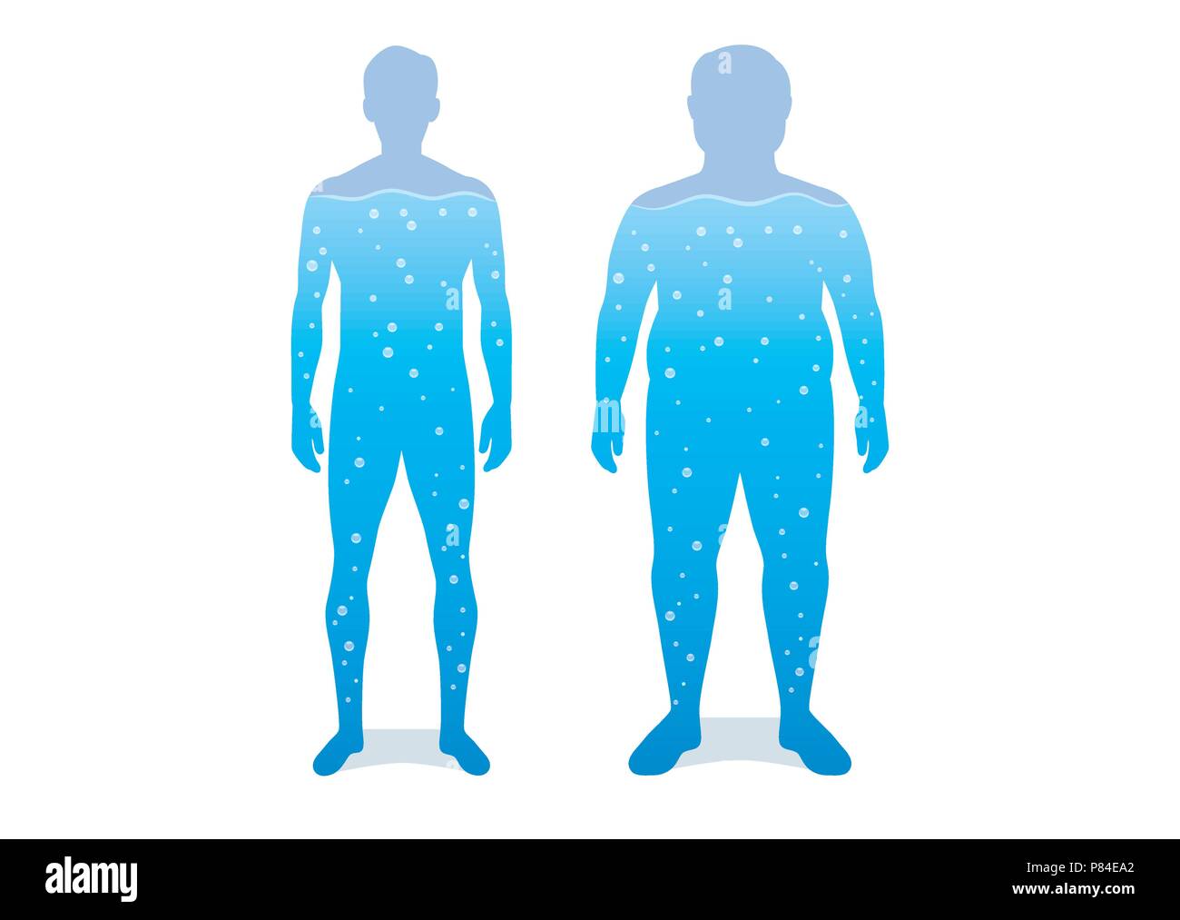 Acqua nel corpo di differenza tra uomo shapely e grasso. Illustrazione Vettoriale