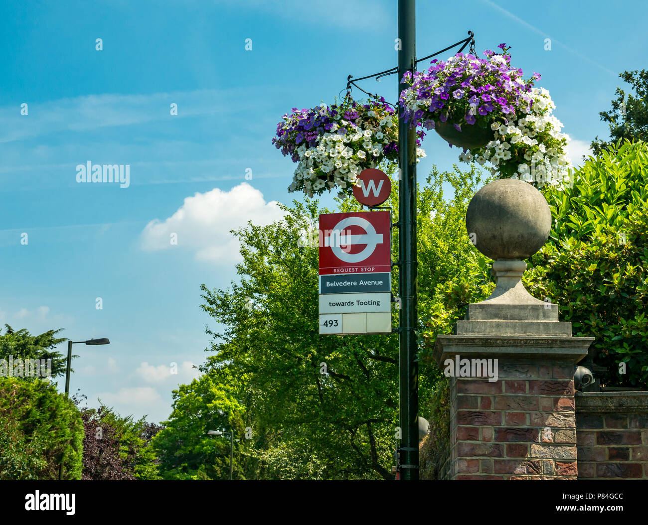 Cesti floreali pendenti sul lampione fermata bus a Wimbledon colori di viola e bianco durante il torneo di Wimbledon Tennis campionati, London, England, Regno Unito Foto Stock