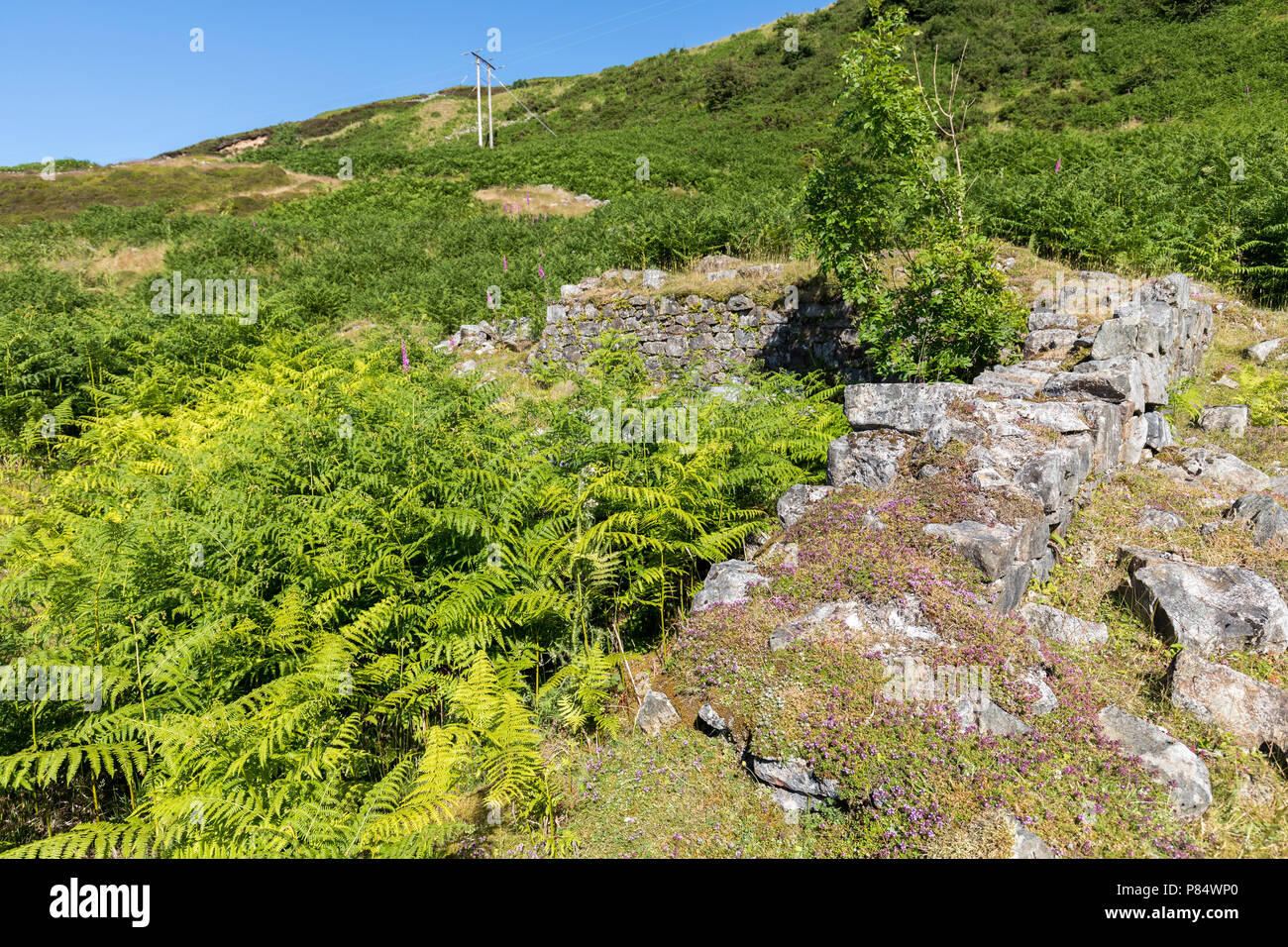 Resti di costruzioni presso la Garnddrywys Forge Pwll Du, Blaenavon, Sito del Patrimonio Mondiale, Wales, Regno Unito Foto Stock