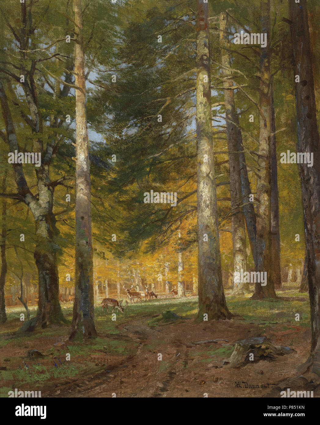 Darnaut Hugo - il Lainzer Tiergarten Foto Stock
