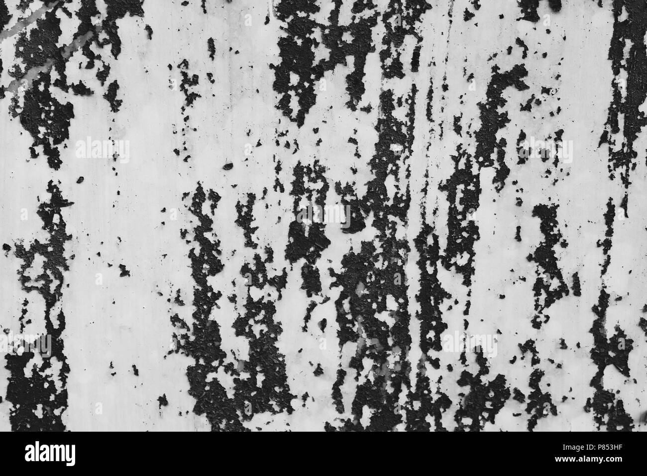 In bianco e nero di polvere e graffi sfondi testurizzata con lo spazio. Foto Stock