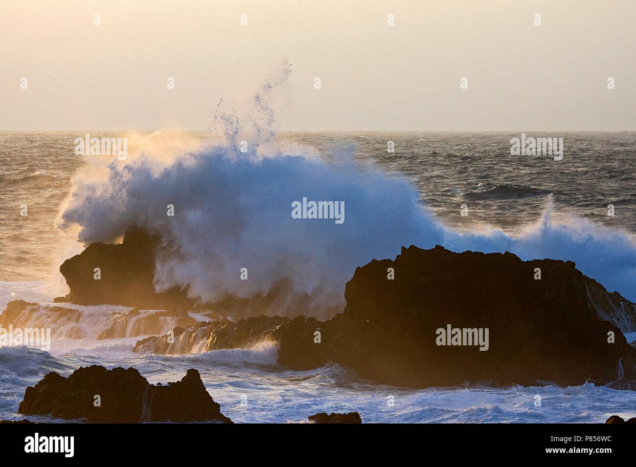 Il Branding rotskust, Azoren; navigare in costa rocciosa, Azzorre Foto Stock