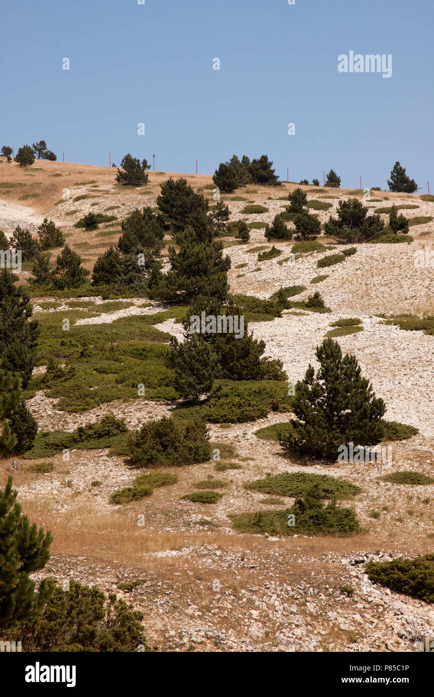 Landschap Mont Ventoux, paesaggio Mont Ventoux Foto Stock