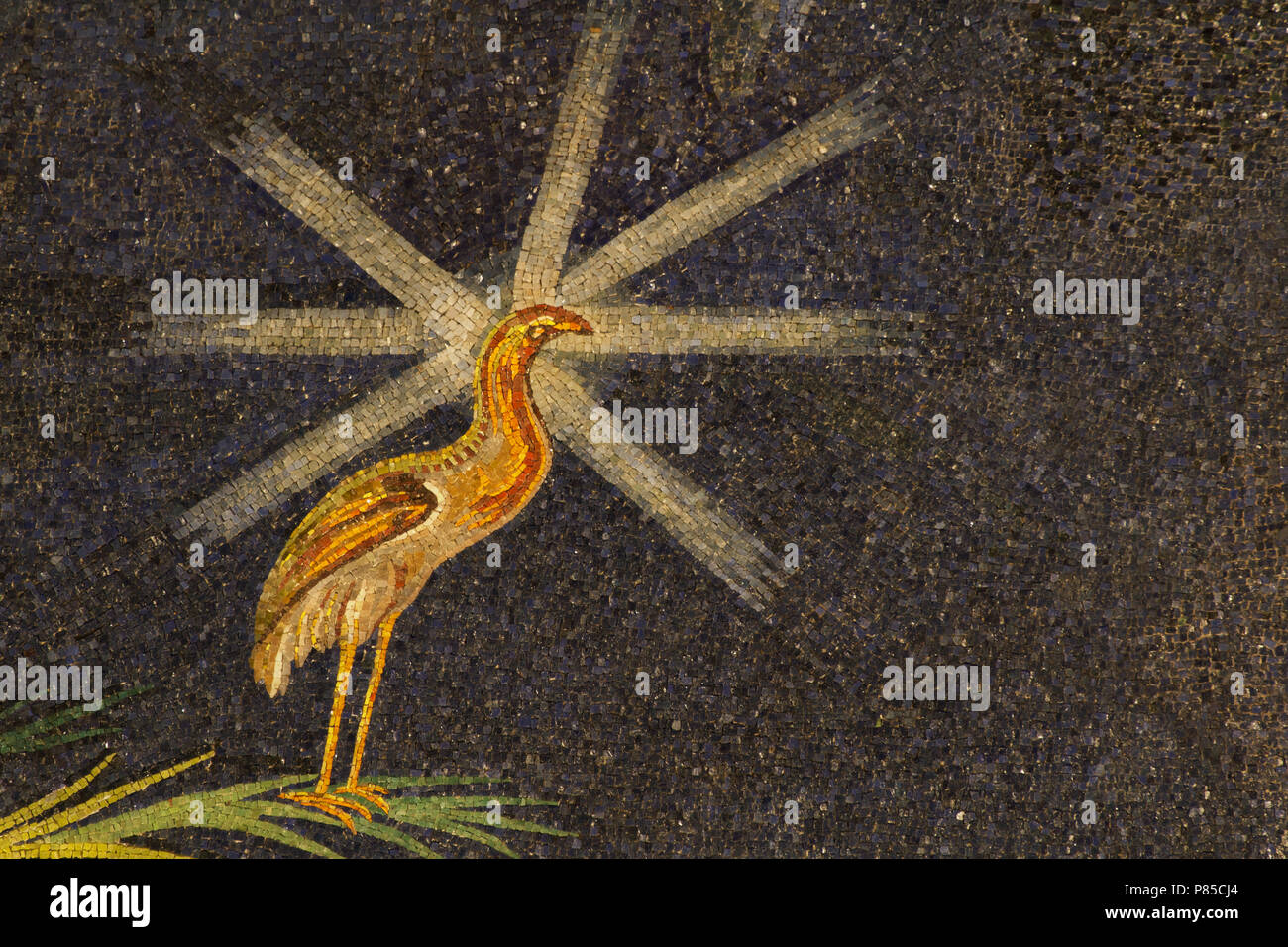 Peacock - dettaglio del sesto secolo mosaico absidale (530 AC) - Capolavoro dell'arte paleocristiana - Basilica dei Santi Cosma e Damiano - Roma Foto Stock